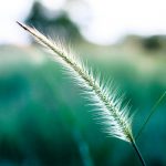 Cannabis shop in London image_135.jpg