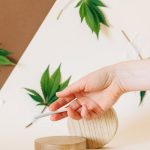 Cannabis shop in Malaga image_217.jpg