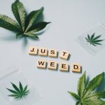 THC weed in Florence image_246.jpg