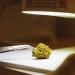 Marijuana delivery in Hamburg image_298.jpg