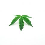Buy cannabis in Geneve image_328.jpg