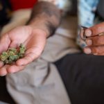 Buy THC cannabis in Slovakia image_357.jpg