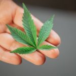 THC vapes delivery in Marseille image_371.jpg