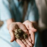 Buy marijuana in Belfast image_394.jpg