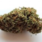 Cannabis store in Montpellier image_624.jpg