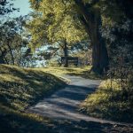 Buy the weed in Timisoara image_654.jpg