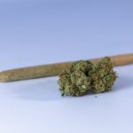Buy THC marijuana in Bratislava image_683.jpg