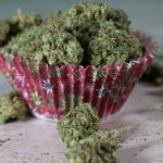 Buy cannabis in Innsbruck image_686.jpg