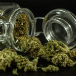 Buy hashish in Alicante image_690.jpg