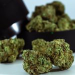 Cannabis shop in Florence image_726.jpg