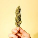 Buy marijuana in Turin image_738.jpg