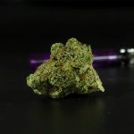 Buy marijuana in Manchester image_740.jpg