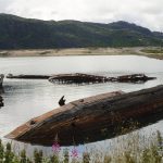 Buy the weed in Brno image_778.jpg