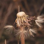 THC vapes delivery in Vienna image_792.jpg