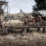 Buy THC vapes in Munster image_871.jpg