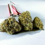 Buy THC cannabis in Plzen image_884.jpg