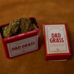 Cannabis store in Andorra image_897.jpg