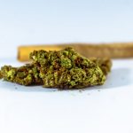 Weed shop in Debrecen image_915.jpg